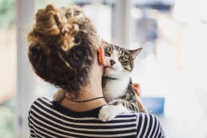 Best Cat Insurance in Mississauga CA