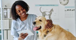 Best Dog Insurance in Mississauga CA