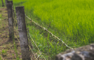 Securing the Land: Exploring the Benefits of Agricultural Fencing