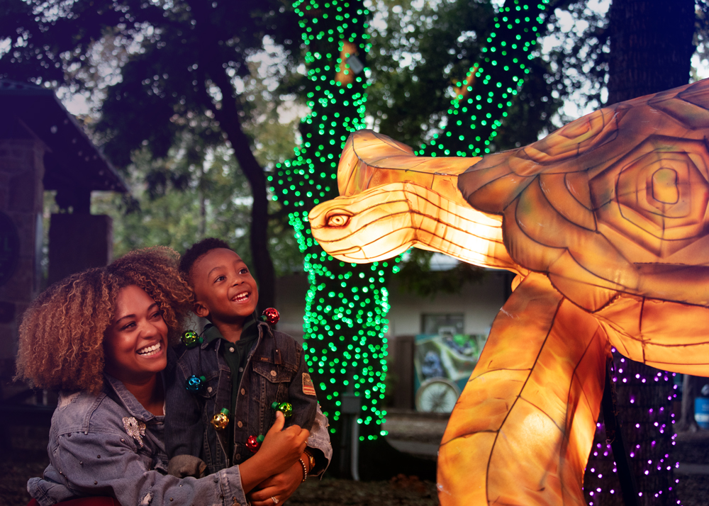 Top Dallas Weekend Events for Local Families